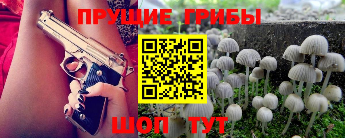 Галлюциногенные грибы прущие грибы Шадринск